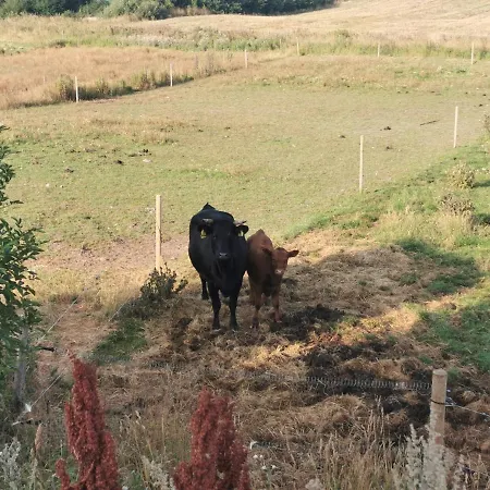 Rikke Og Franks Svineri 3*