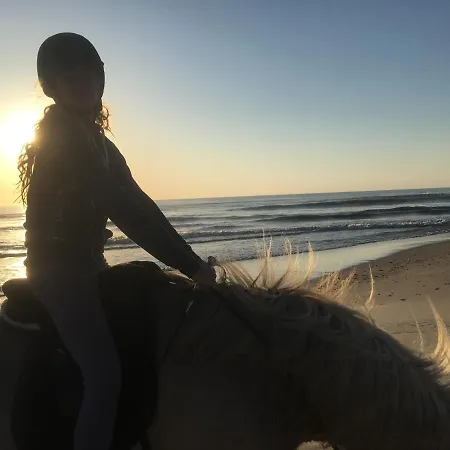 Rikke Og Franks Svineri 3* ليمفج