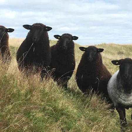 Rikke Og Franks Svineri شقة فندقية