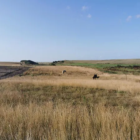 Rikke Og Franks Svineri شقة فندقية ليمفج