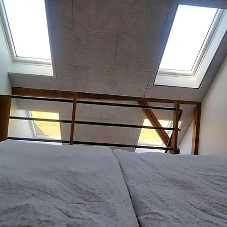 Rikke Og Franks Svineri Apartahotel