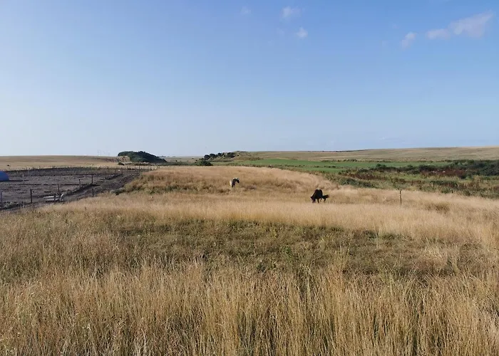 Rikke Og Franks Svineri Aparthotel Lemvig